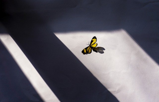 Weekly Numerology Predictions (July 10 To July 16, 2020 )