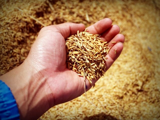 OUTLOOK 2021 for Agriculture Sector