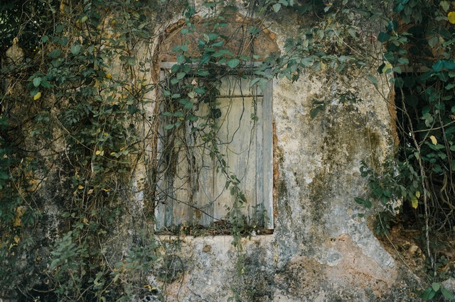 Exploring the Necessity of Property Inspections