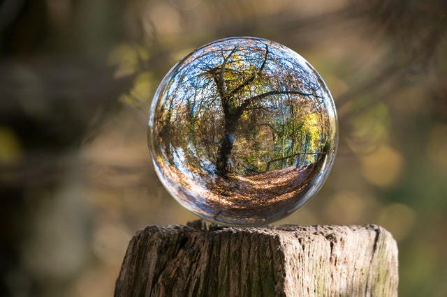 Why Businesses Must Prioritize Sustainability for the Future