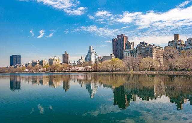 New Jersey Real Estate Market: Tips, Tricks, and Insider Advice
