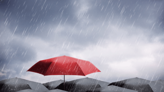 The Phenomenon of Rebranding