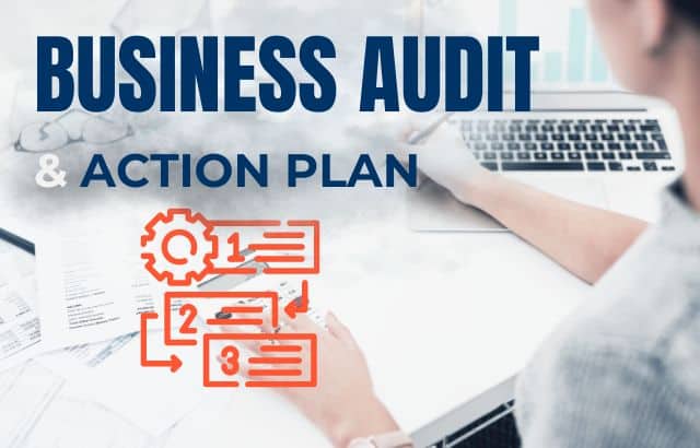 Business Audit & Action Plan: Ensuring Long-Term Sustainability