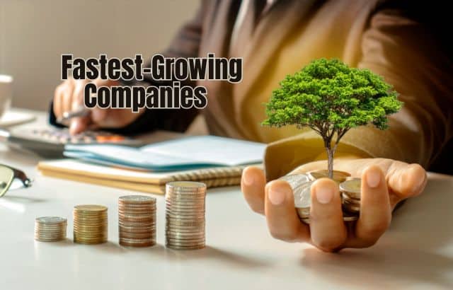 Insights from the Fastest-Growing Companies and Strategic Approaches for Success