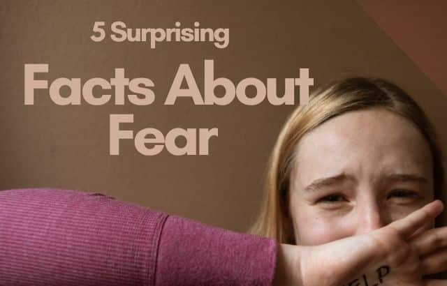 5 Surprising Facts About Fear That Will Change the Way You Think About It